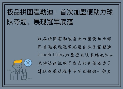 极品拼图霍勒迪：首次加盟便助力球队夺冠，展现冠军底蕴