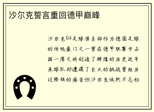 沙尔克誓言重回德甲巅峰