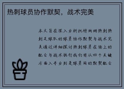 热刺球员协作默契，战术完美