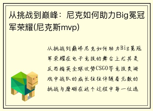从挑战到巅峰：尼克如何助力Big冕冠军荣耀(尼克斯mvp)